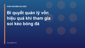 Read more about the article Bí quyết quản lý vốn hiệu quả khi tham gia soi kèo bóng đá