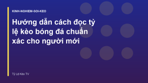 Read more about the article Hướng dẫn cách đọc tỷ lệ kèo bóng đá chuẩn xác cho người mới