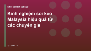 Read more about the article Kinh nghiệm soi kèo Malaysia hiệu quả từ các chuyên gia
